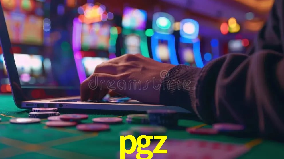 Interface Premium pgz